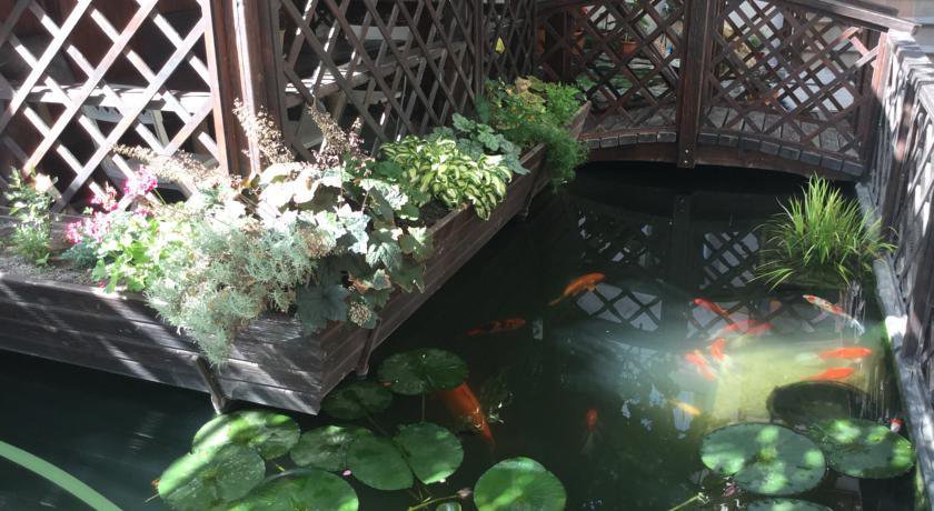 Гостиница Goldfish Геленджик-12
